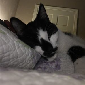 Meet your Posher, Joanne